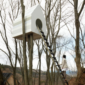 un-nichoir-qui-sert-observatoire-Birds-Apartment-nedo-0