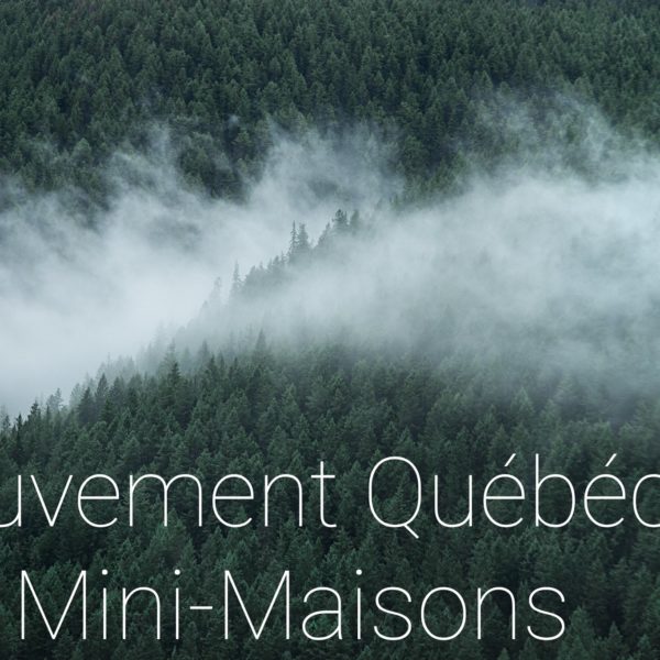 le-mouvement-quebecois-des-mini-maisons-2